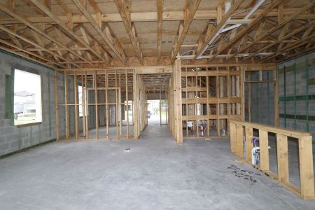 New construction Single-Family house 2463 Sunny Pebble Loop, Zephyrhills, FL 33540 Castellana- photo 13 13