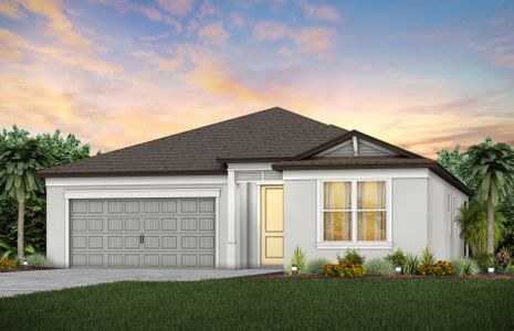New construction Single-Family house Coral, Simmons Ranch Court, Riverview, FL 33578 - photo