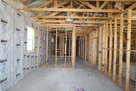 New construction Single-Family house 2486 Clary Sage Drive, Spring Hill, FL 34609 Santa Monica- photo 86 86