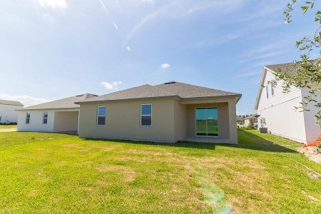 New construction Single-Family house Jones Road, Saint Cloud, FL 34771 - photo 15 15