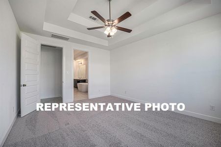 New construction Single-Family house 132 Basketflower Ln, Georgetown, TX 78642 - photo 14 14