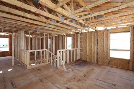 New construction Single-Family house 31852 Sapna Chime Drive, Wesley Chapel, FL 33545 Renau- photo 25 25