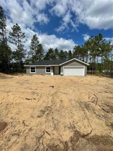 New construction Single-Family house 452 Sw Sycamore Road, Dunnellon, FL 34431 - photo 6 6
