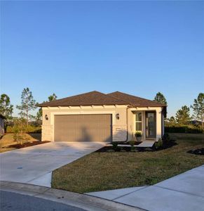 New construction Single-Family house 6176 Sw 93Rd Avenue, Ocala, FL 34481 - photo