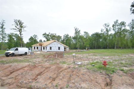New construction Single-Family house 110 Noah Court, Livingston, TX 77320 - photo 49 49