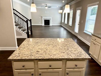 New construction Single-Family house 525 Gregs Place, Mcdonough, GA 30253 Heatherland Homes  The Cobalt- photo 9 9