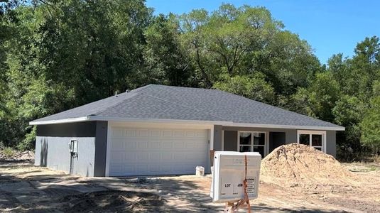 New construction Single-Family house 9744 Bahia Road, Ocala, FL 34472 - photo 0