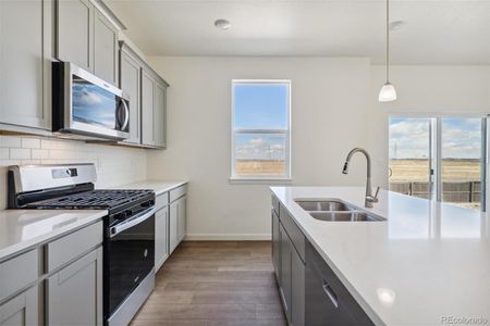 New construction Single-Family house 4564 Cattle Cross Road, Castle Rock, CO 80104 Holcombe - photo 10 10