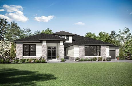 New construction Single-Family house 131 Waters View Court, Dripping Springs, TX 78620 - photo 4 4