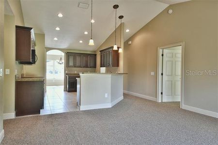 New construction Single-Family house Sw Place, Dunnellon, FL 34432 - photo 10 10