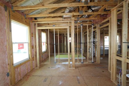 New construction Single-Family house 5238 Currant Street, Lakeland, FL 33811 Marina- photo 32 32