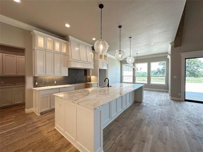 New construction Single-Family house 553 Royal Santana Run, Weatherford, TX 76087 - photo 9 9