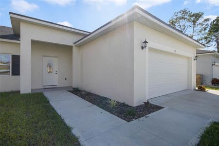 New construction Single-Family house 55 Peterlee Court, Kissimmee, FL 34758 - photo 4 4