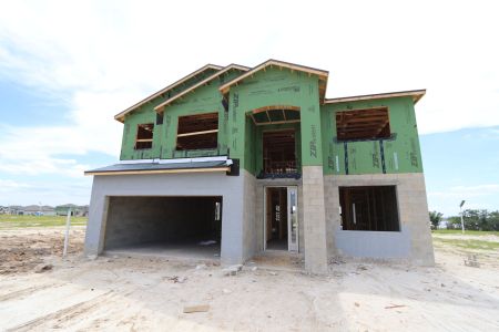 New construction Single-Family house 31810 Sapna Chime Drive, Wesley Chapel, FL 33545 Mira Lago- photo 9 9