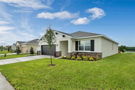 New construction Single-Family house 33266 Country House Drive, Sorrento, FL 32776 - photo