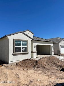 New construction Single-Family house 9816 E Hay Loft Drive, Florence, AZ 85132 Palo Verde- photo 0