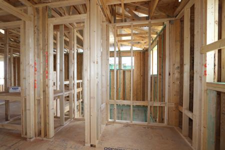 New construction Single-Family house 5254 Currant Street, Lakeland, FL 33811 Marina- photo 10 10
