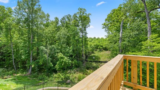 New construction Single-Family house 520 Vervain Drive, Locust Grove, GA 30248 Galen- photo 44 44