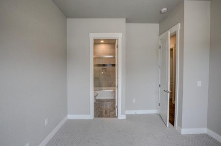 New construction Townhouse house 6248 Vernazza Way, Windsor, CO 80550 - photo 89 89