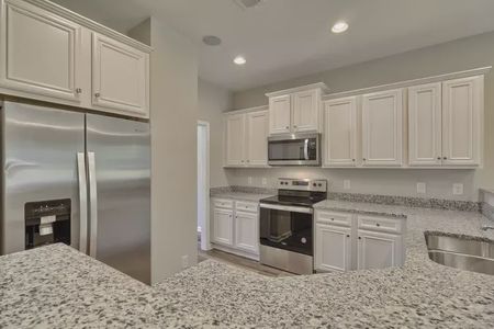 New construction Single-Family house 3301 Rosinburg Road, Zebulon, NC 27597 - photo 10 10