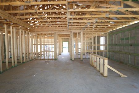 New construction Single-Family house 12032 Hilltop Farms Drive, Dade City, FL 33525 Marque- photo 23 23