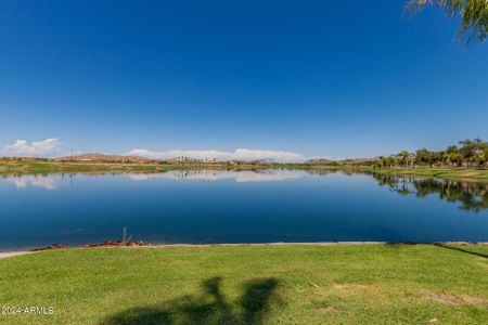 New construction Single-Family house 16041 S 184Th Drive, Goodyear, AZ 85338 - photo 47 47