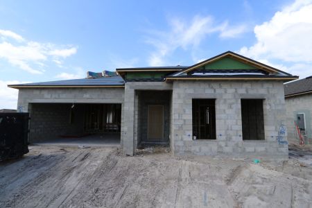 New construction Single-Family house 4833 Foxglove Circle, Lakeland, FL 33811 Marque- photo 22 22