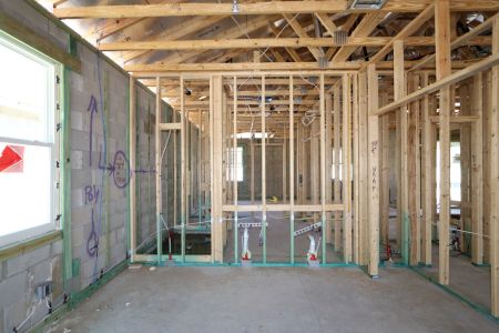 New construction Single-Family house 31843 Sapna Chime Drive, Wesley Chapel, FL 33545 Picasso- photo 42 42