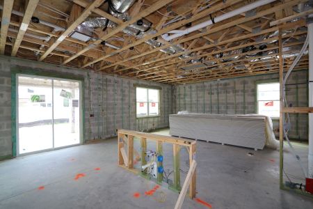 New construction Single-Family house 2463 Sunny Pebble Loop, Zephyrhills, FL 33540 Castellana- photo 44 44