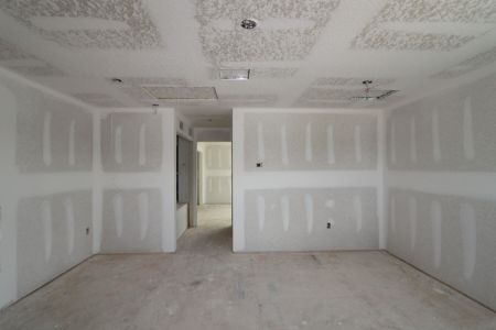 New construction Single-Family house 10609 New Morning Drive, Tampa, FL 33647 Corina  III Bonus- photo 43 43