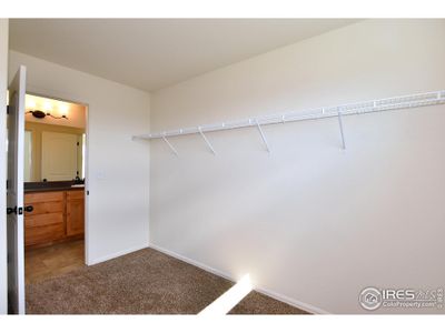 New construction Single-Family house 2333 Graceful St, Windsor, CO 80550 The New Jersey- photo 27 27