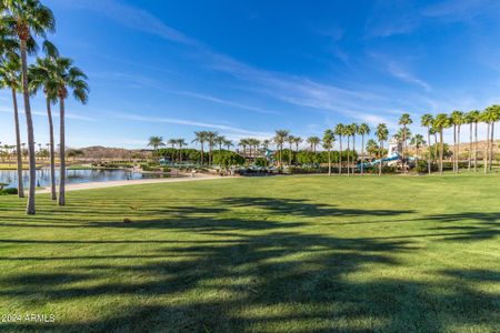 New construction Single-Family house 16041 S 184Th Drive, Goodyear, AZ 85338 - photo 69 69