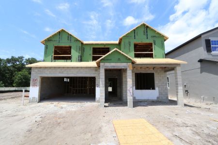 New construction Single-Family house 2530 Sunny Pebble Loop, Zephyrhills, FL 33540 Salinas- photo 12 12
