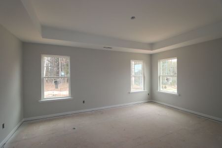 New construction Single-Family house 3052 June Lake Station, Apex, NC 27502 Arcadia - Premier Collection- photo 50 50