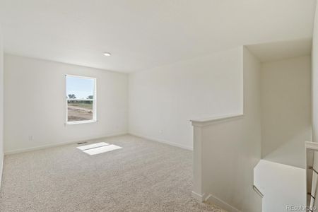 New construction Single-Family house 113 62Nd Avenue, Greeley, CO 80634 PENDLETON- photo 16 16