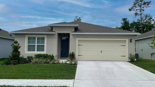 New construction Single-Family house Cali, 904 Bear Hammock Drive, Umatilla, FL 32784 - photo