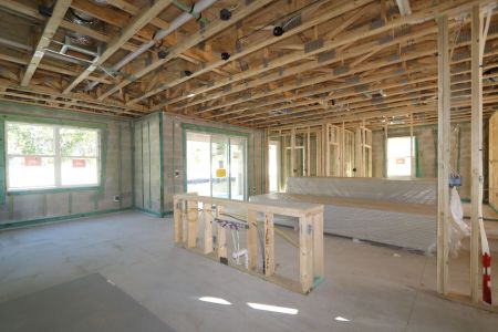 New construction Single-Family house 12114 Hilltop Farms Drive, Dade City, FL 33525 Alenza- photo 76 76