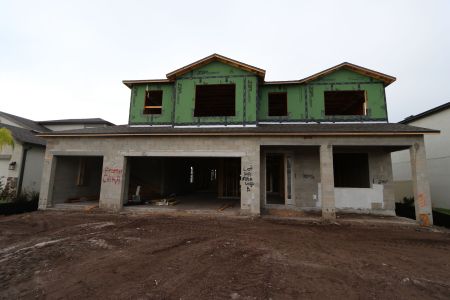 New construction Single-Family house 3024 King Fern Drive, Wimauma, FL 33598 Mira Lago- photo 28 28