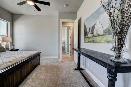 New construction Townhouse house 6248 Vernazza Way, Windsor, CO 80550 - photo 94 94