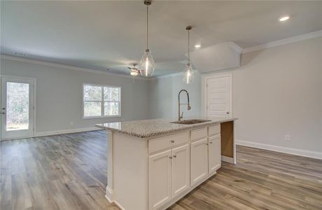 New construction Single-Family house 3331 Westgate Park Drive, Loganville, GA 30052 Mayfield- photo 14 14