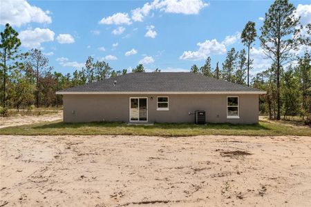 New construction Single-Family house 24053 Nw Tamarind Lane, Dunnellon, FL 34431 - photo 34 34