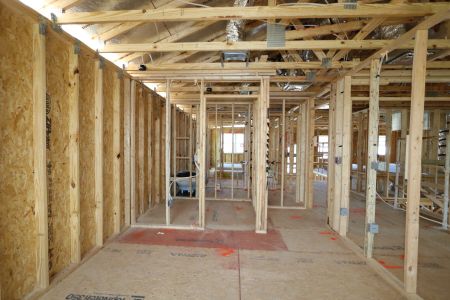 New construction Single-Family house 7754 Hemlock Seed Drive, Wesley Chapel, FL 33545 Sonoma II- photo 23 23