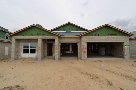 New construction Single-Family house 2473 Clary Sage Drive, Spring Hill, FL 34609 Corina II- photo 26 26
