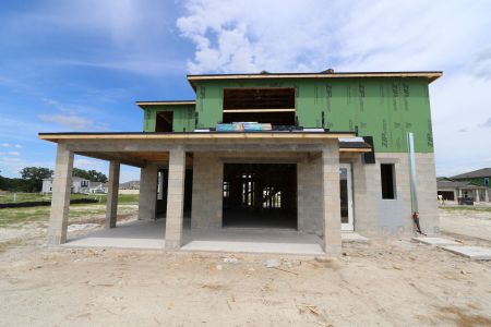 New construction Single-Family house 31810 Sapna Chime Drive, Wesley Chapel, FL 33545 Mira Lago- photo 24 24