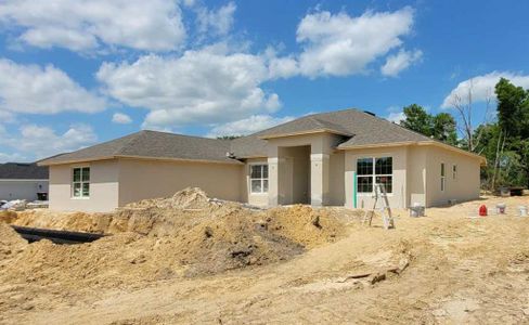 New construction Single-Family house 11325 Nw 4Th Street, Ocala, FL 34482 2330- photo 15 15