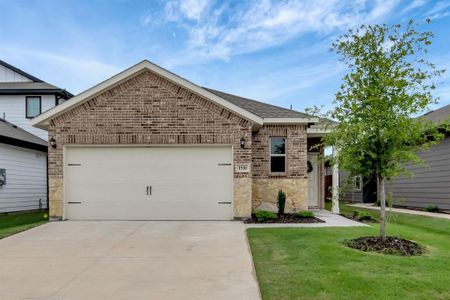 New construction Single-Family house 1510 Wind Springs Drive, Forney, TX 75126 Cottonwood- photo 0 0