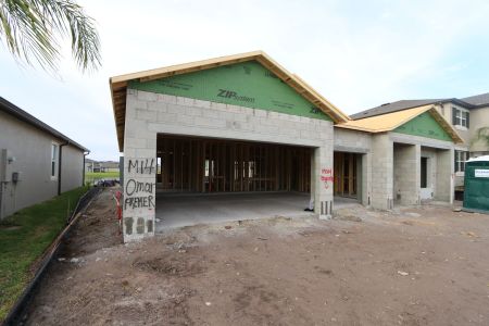 New construction Single-Family house 5082 Bromeliad Avenue, Wimauma, FL 33598 Barcello- photo 11 11
