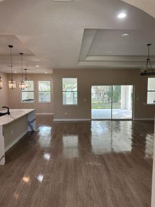 New construction Single-Family house 636 Limona Woods Drive, Brandon, FL 33510 - photo 8 8