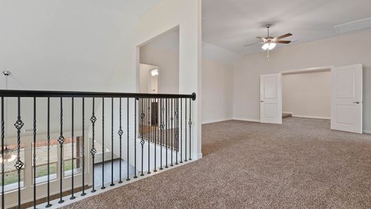 New construction Single-Family house 3688 Rolling Meadows Drive, Grand Prairie, TX 76065 - photo 69 69