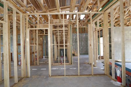 New construction Single-Family house 2881 Misty Marble Drive, Zephyrhills, FL 33540 Castellana- photo 18 18